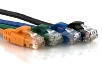 cat6